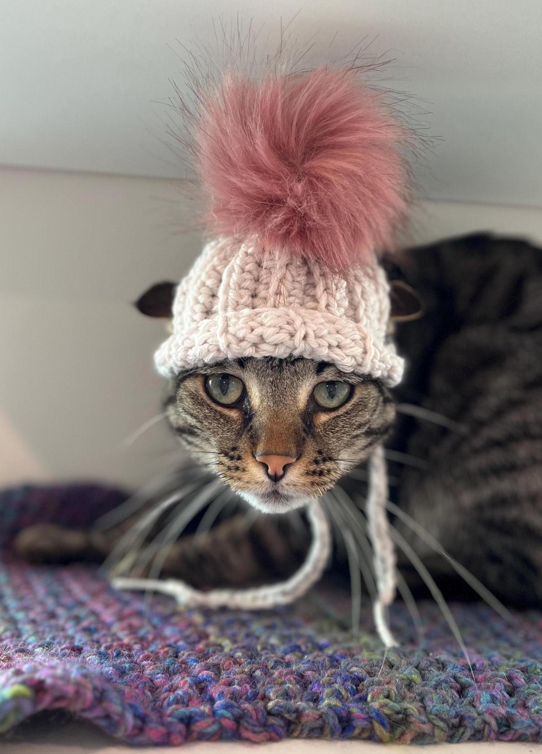 36 Cat Hat Crochet Patterns for Cozy, Costume, and Playful Crochet Projects 23 Crochet Pattern Cat Hat Pom Pom Beanie Crochet Gift