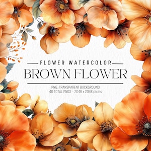 Clipart de flores de acuarela, paquete de ilustraciones de flores marrones, uso comercial, PNG digital, clip art floral, flores PNG