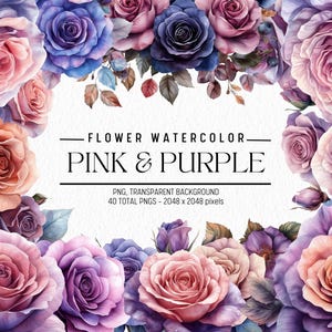 Watercolor Flower Clipart,Pink and Purple Flowers Bundle Illustrations, Commercial use, Digital PNG, Floral Clip Art, Flowers PNG