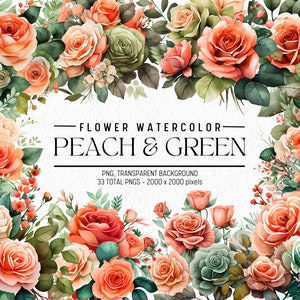 Watercolor Flower Clipart, Peach & Green Flowers Bundle Illustrations, Commercial use, Digital PNG, Floral Clip Art, Flowers PNG