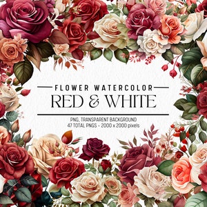 Aquarel bloem clipart, rode en witte bloemen bundel illustraties, commercieel gebruik, digitale png, bloemenillustraties, bloemen png