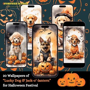 20 pics Digital wallpaper of Lucky Dog and Jack-o’-lantern in Halloween Festival. Mobile Wallpaper.
