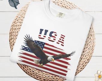 Vintage Aesthetic USA Eagle Flag Shirt, Patriotic Americana Tee, Fourth of July Apparel, Mens Independence Day Top, Retro Military Gift