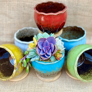 May include: Six ceramic planters in various colors, including red, blue, green, and yellow. The planters have a speckled glaze and a rounded shape. One planter is filled with a succulent plant.