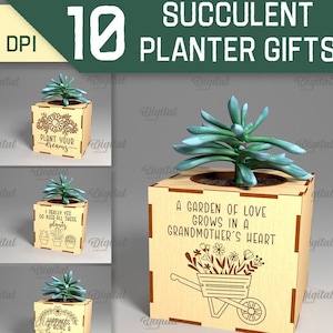 3D Sukkulenten Pflanzer Laserschnitt Bundle, Topfpflanzenhalter, Muttertag svg, Blumenkasten lasercut, Pflanzen Hirten, Pflanzenliebhaber Geschenk svg