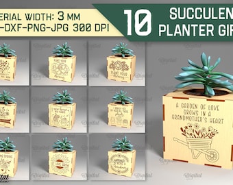 Pacchetto taglio laser fioriera succulenta 3D, porta piante in vaso, festa della mamma in formato SVG, fioriera tagliata al laser, alzate per piante in legno, regalo per gli amanti delle piante in formato SVG