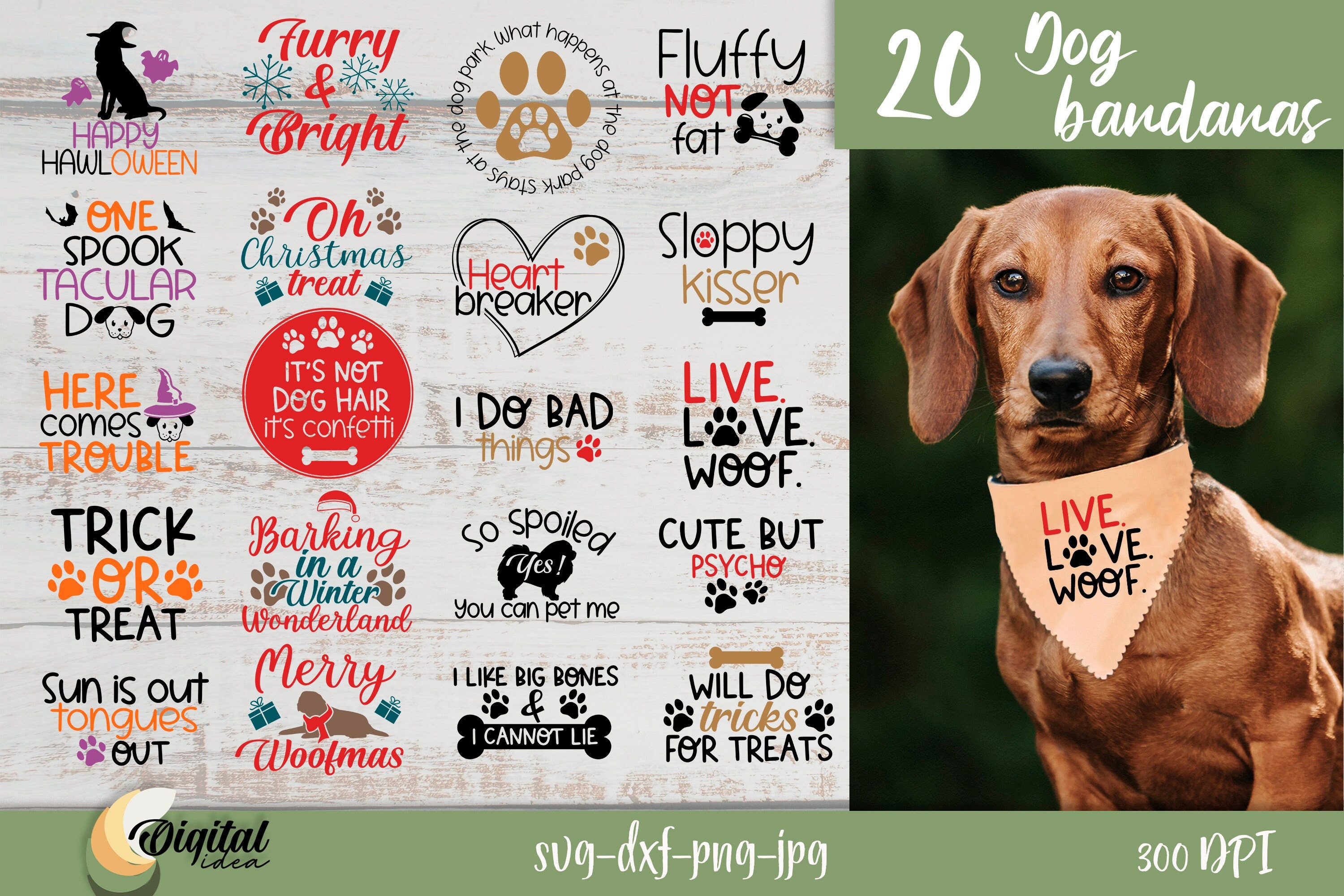 Funny dog saying shirts hot sale
