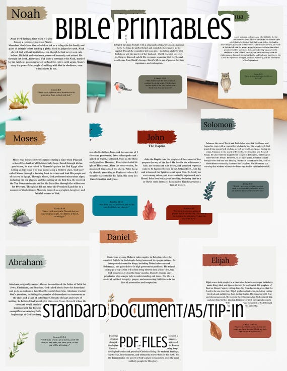 Men Of the Bible war binder loaded bible printout with scriptures prompts | PDF print | tip in | bible study binder DIY | Starter kit
