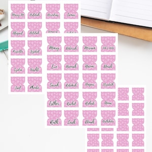May include: Pink Bible study tab printout with names like Mary, Hannah, and Esther. The tabs have a floral pattern and are labeled "Bible Study Tab Printout" and "PDF".