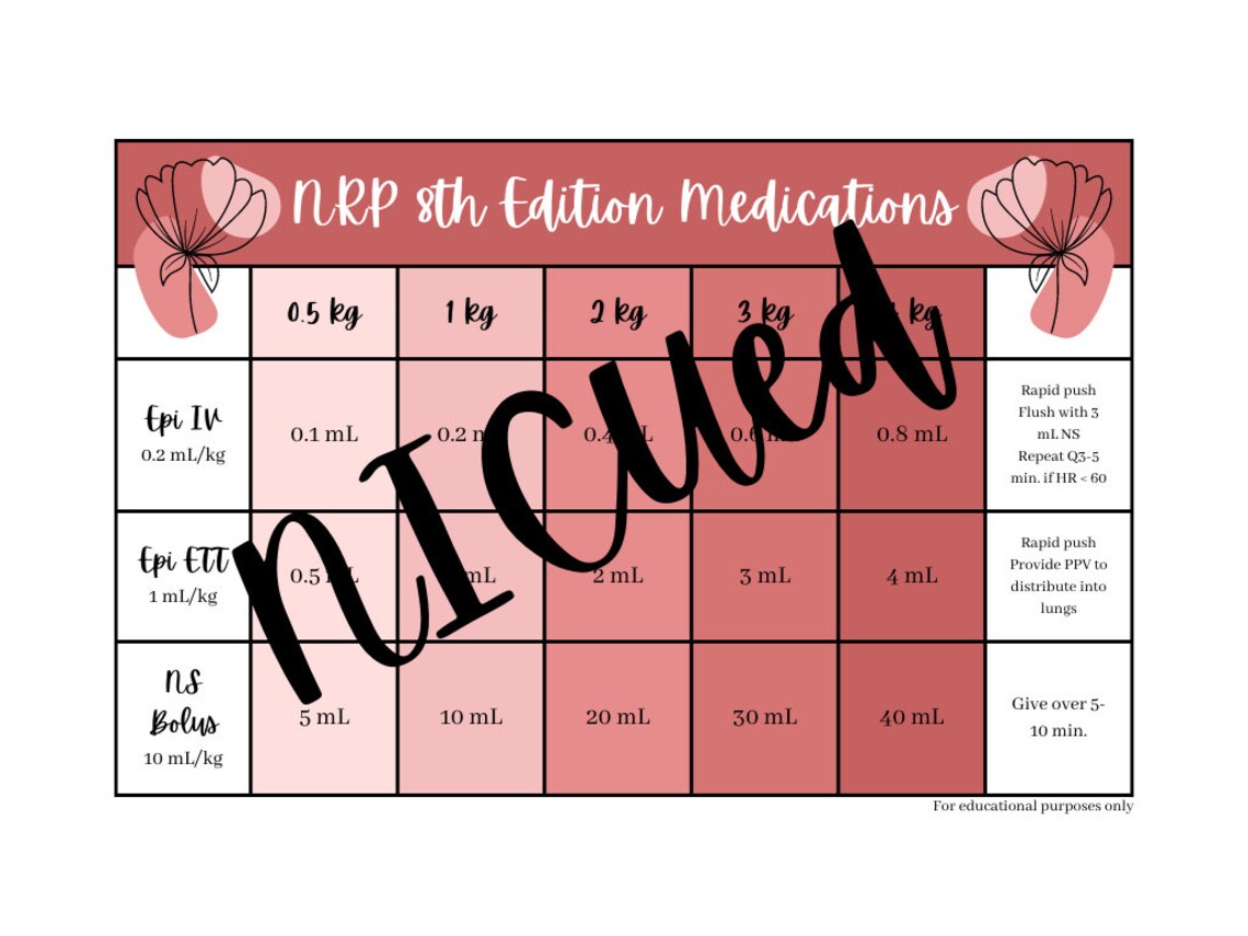 NRP Medication Cheat Sheet/badge Buddy Etsy