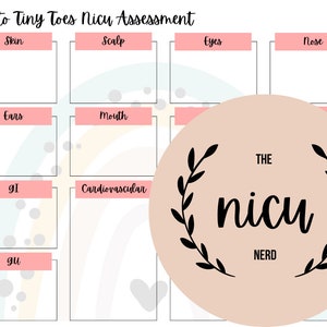 NICU Head to Toe Assessment Sheet