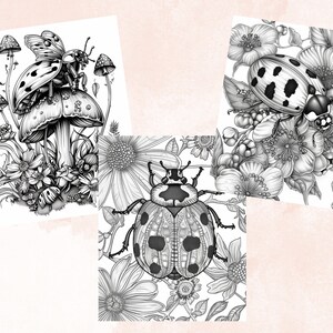 40 Spring Ladybugs Coloring Book, Printable Floral Ladybirds Coloring Pages, Grayscale Spring Flowers Insect Coloring Book for Adults Kids