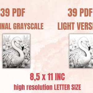 May include: A set of 39 printable PDF coloring pages featuring a flamingo in a field of flowers. The pages are available in both original grayscale and a light version. The pages are 8.5 inches by 11 inches, letter size, and high resolution.