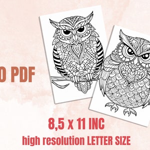 30 Owl Mandala Coloring Book, Printable Stress Relief Patterns Coloring ...