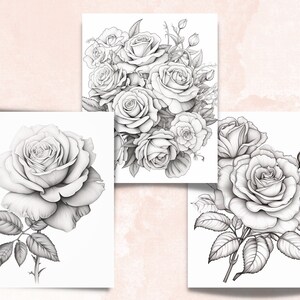 70 Rose Coloring Book, Printable PDF, Botanical Floral Plant Coloring Pages, Fantasy Grayscale Red Roses Coloring Book for Adults and Kids