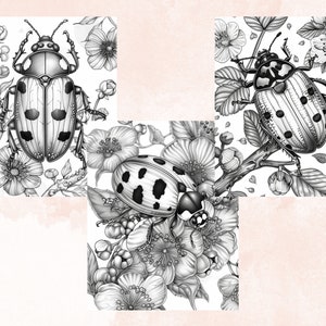 40 Spring Ladybugs Coloring Book, Printable Floral Ladybirds Coloring Pages, Grayscale Spring Flowers Insect Coloring Book for Adults Kids