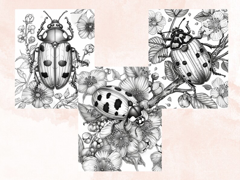 40 Spring Ladybugs Coloring Book, Printable Floral Ladybirds Coloring Pages, Grayscale Spring Flowers Insect Coloring Book for Adults Kids