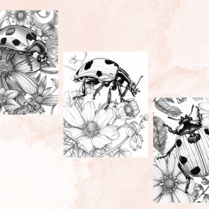 40 Spring Ladybugs Coloring Book, Printable Floral Ladybirds Coloring Pages, Grayscale Spring Flowers Insect Coloring Book for Adults Kids