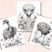 25 Baby Safari Animals Coloring Book Printable African Animal - Etsy