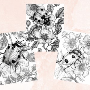 40 Spring Ladybugs Coloring Book, Printable Floral Ladybirds Coloring Pages, Grayscale Spring Flowers Insect Coloring Book for Adults Kids