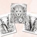 25 Baby Safari Animals Coloring Book Printable African Animal - Etsy