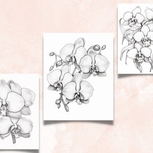 45 Orchid Flowers Coloring Book, Printable PDF, Botanical Floral Plant Coloring Pages, Fantasy Grayscale Spring Coloring Book for Adult Kids
