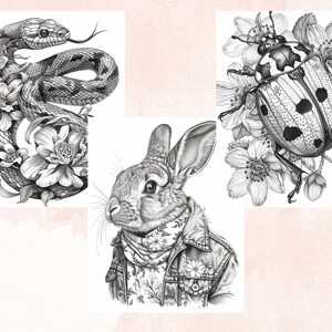 100 Spring Animals Coloring Book, Cute Easter Bunny Coloring Pages, Grayscale Cute Spring Chick and Sheep Coloring Book for Adults and Kids