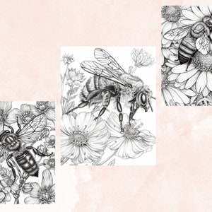 45 Spring Bee Coloring Book, Printable Floral Bee Coloring Pages, Grayscale Spring Flowers Insect Coloring Book for Adults and Kids