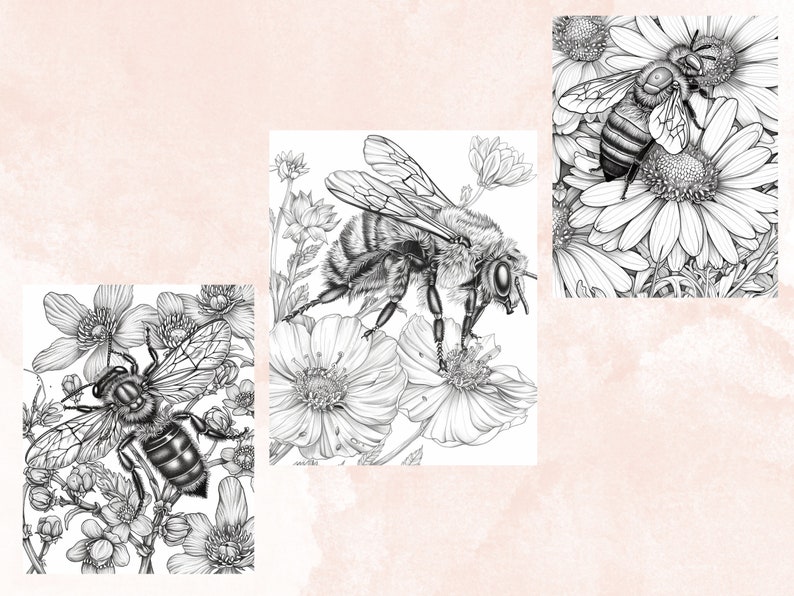 45 Spring Bee Coloring Book, Printable Floral Bee Coloring Pages, Grayscale Spring Flowers Insect Coloring Book for Adults and Kids