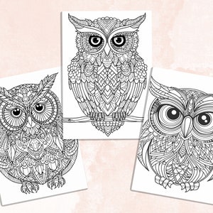 30 Owl Mandala Coloring Book, Printable Stress Relief Patterns Coloring ...