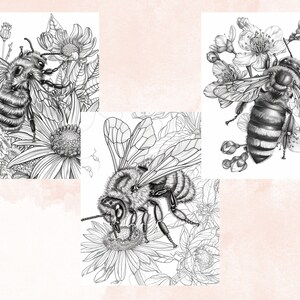 45 Spring Bee Coloring Book, Printable Floral Bee Coloring Pages, Grayscale Spring Flowers Insect Coloring Book for Adults and Kids