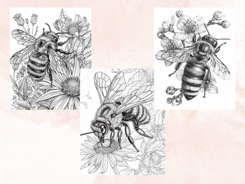 45 Spring Bee Coloring Book, Printable Floral Bee Coloring Pages, Grayscale Spring Flowers Insect Coloring Book for Adults and Kids