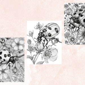 40 Spring Ladybugs Coloring Book, Printable Floral Ladybirds Coloring Pages, Grayscale Spring Flowers Insect Coloring Book for Adults Kids