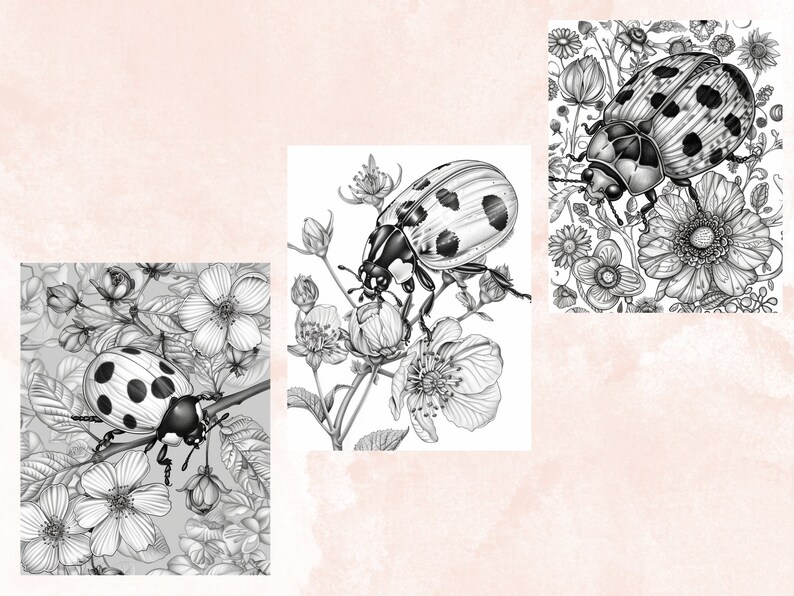 40 Spring Ladybugs Coloring Book, Printable Floral Ladybirds Coloring Pages, Grayscale Spring Flowers Insect Coloring Book for Adults Kids