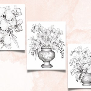 45 Orchid Flowers Coloring Book, Printable PDF, Botanical Floral Plant Coloring Pages, Fantasy Grayscale Spring Coloring Book for Adult Kids