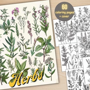 60 Kräuter-Malbuch, druckbare Zaubergarten-Therapie Malseiten, botanische Graustufen Wildblumen Malbuch für Erwachsene und Kinder