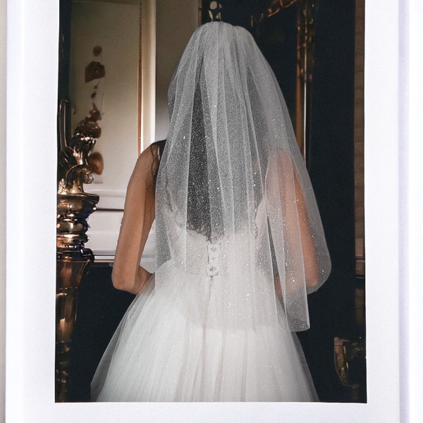 Wedding Veil, Glitter Wedding Veil,  Bridal veil in ivory and white, Bridal gift, Champagne cathedral veil, Sparkling bride veil