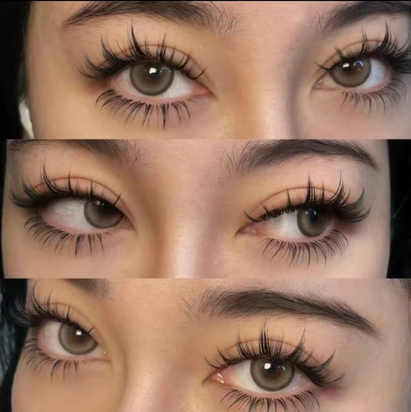 Mini Beauty Eyelash  Beautiful Eyelash Extensions photo Gallery