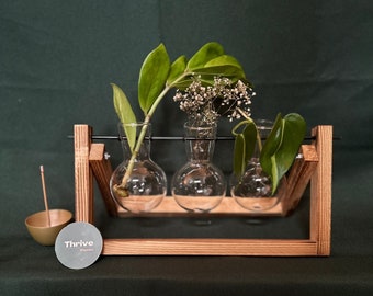 Propagation Station with Glass balls | Plant Accessories | Transplanting | Indoor Plants | Hydroponics | Wooden Frame | Gifts | Spring