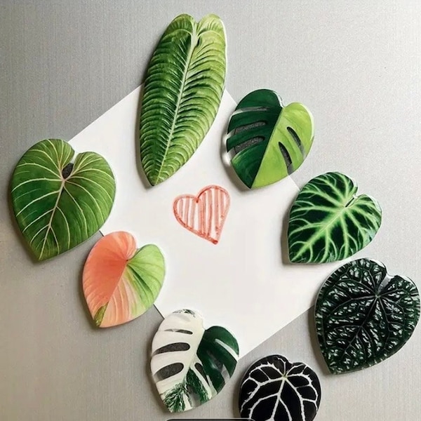 Acrylic Plant Magnet | Accessories | Plants | Plant Lovers | Plant Gifts | Birthday | Handmade| Decor | Gardening | Hobbies | Letterbox