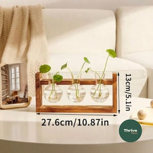 Propagation Stand with Two/Three Globes Propagation Accessories Transplanting Indoor Plants Hydroponics Wooden Frame Gifts image 3