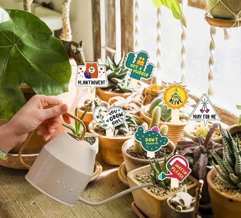 Perleddom ‚What The Fucculent‘ Schlüsselanhänger Edelstahl – Lustiges Geschenk Für Pflanzenfans