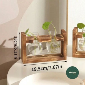 Propagation Stand with Two/Three Globes Propagation Accessories Transplanting Indoor Plants Hydroponics Wooden Frame Gifts image 2