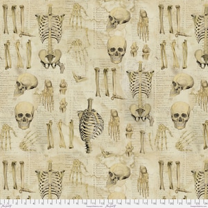 FreeSpirit Tim Holtz Anatomy Canvas - Neutral || Laboratory Canvas - By The Yard (36&quot; x 43/44&quot;)