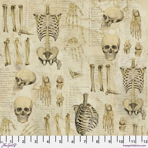 FreeSpirit Tim Holtz Anatomy - Neutral || Laboratory - By The Yard (36&quot; x 43/44&quot;)
