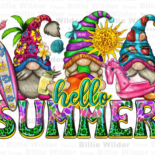 Summer gnomes png sublimation design download, hello summer png, gnomes png, summer vibes png, sublimate designs download