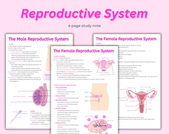 Reproductive System Notes: Anatomy Diagrams Cheat Sheet (PDF Download)