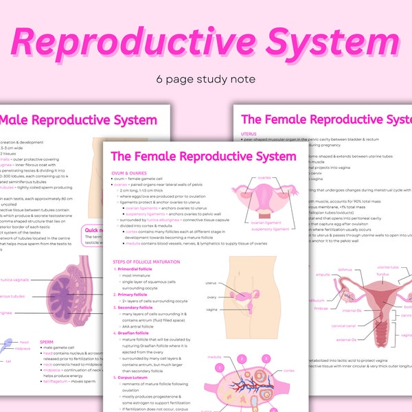 Reproductive System Notes ~ Intro to Reproductive System, Female & Male, Anatomical Diagrams Cheat Sheet
