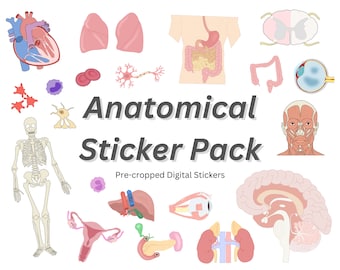 May include: A digital sticker pack with illustrations of the human body, including the heart, lungs, brain, skeleton, digestive system, and more. The stickers are pre-cropped and ready to use.
