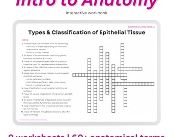 Anatomy Workbook: Diagrams & Crossword Puzzles (PDF Download)